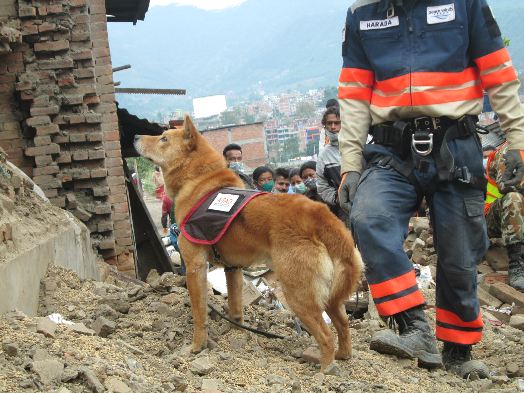 ネパール地震被災者支援<br>（2015年4月）