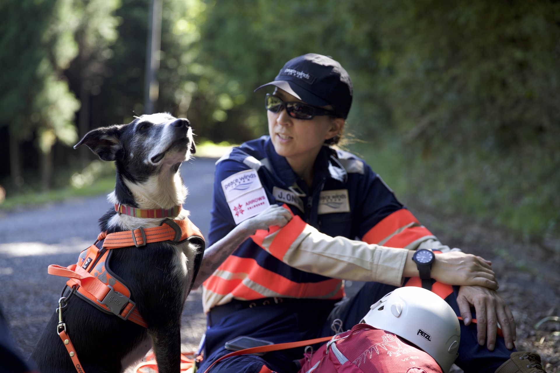 災害救助犬のもう1つの仕事〜1人でも多くの人を救うために〜