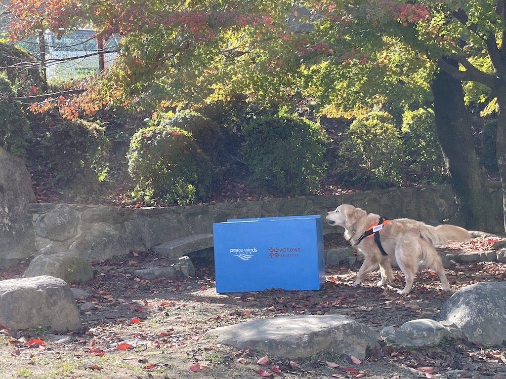 【活動報告】新居浜市の防災訓練で救助犬がデモンストレーションを行いました。