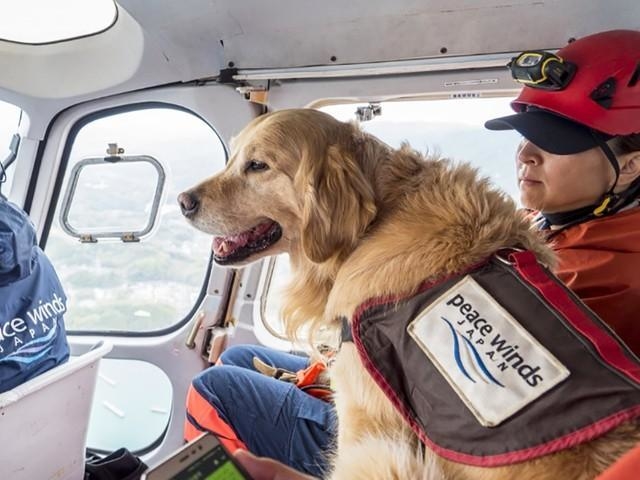【メディア掲載】災害救助犬の活動が神戸新聞NEXTに掲載されました。
